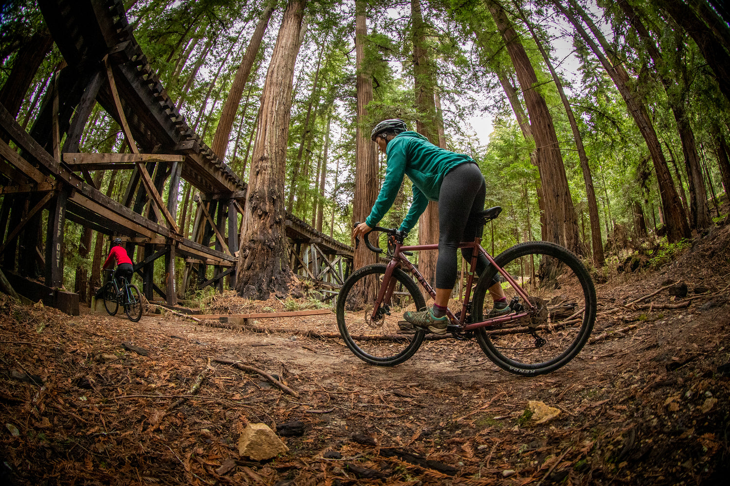 Two cyclists ride a forest path under tall trees and a wooden bridge, one in teal closer, the other in red further, evoking adventure.