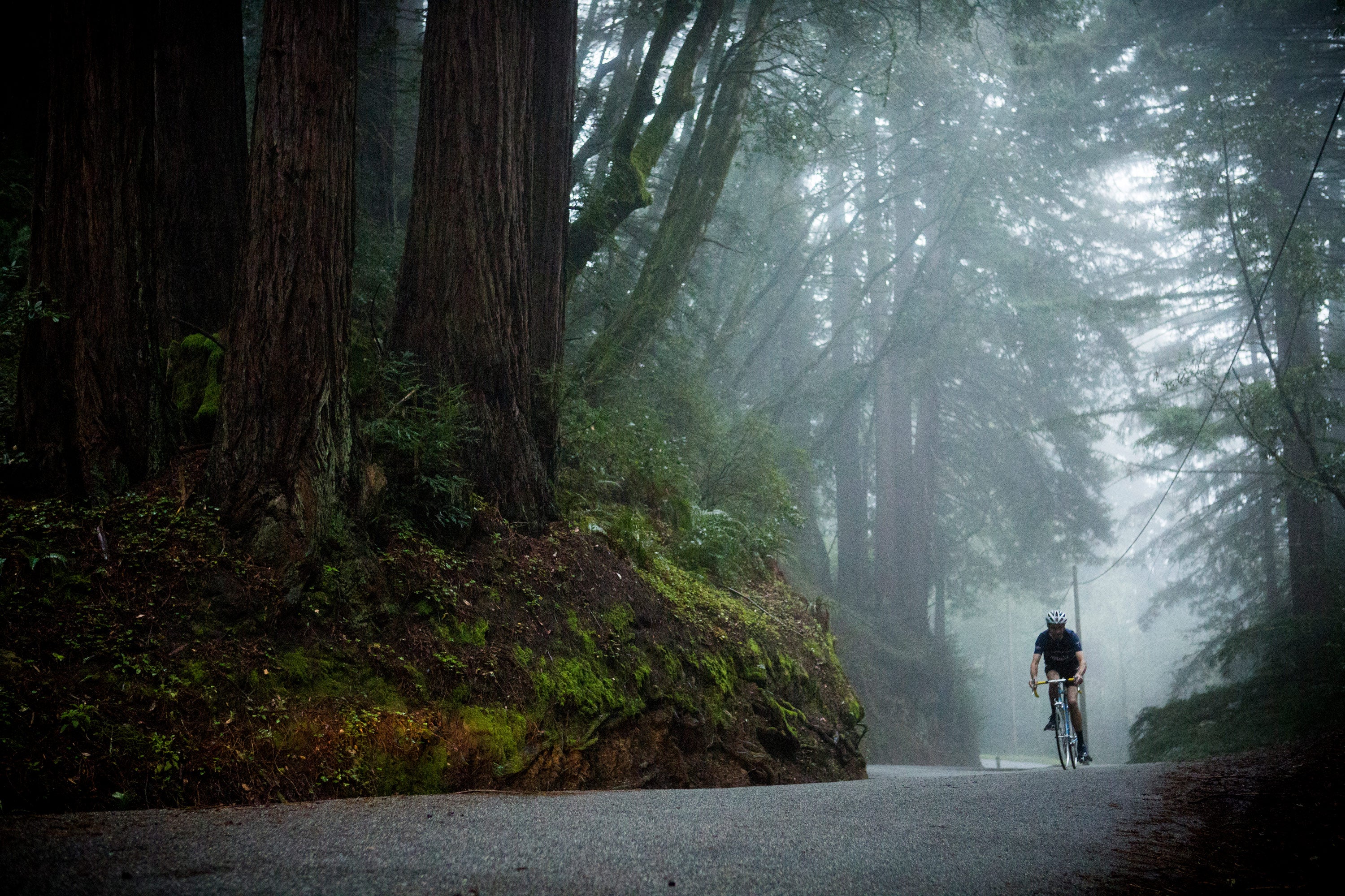 A lone cyclist rides through a misty, forested road surrounded by tall trees and dense greenery. The scene conveys a serene and foggy atmosphere, with the road curving gently into the distance.