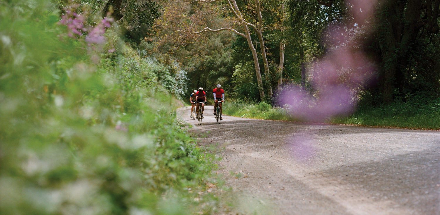Two cyclists wearing red jerseys ride on a tree-lined country road. The foreground features blurred purple flowers, and the background is filled with greenery and trees under a clear sky.